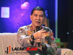 Satgas TPPO Terus Bertindak, Sebanyak 532 Tersangka Dibekuk Petugas