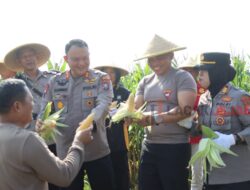 Polres Blitar Panen Jagung Dengan Memanfaatkan Lahan Tidur Guna Dukung Ketahanan Pangan