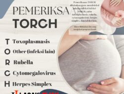 Cegah Infeksi Janin Dengan Pemeriksaan TORCH Bagi Ibu Hamil