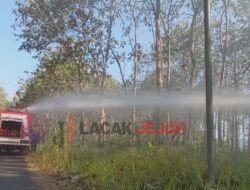 Polisi dan Petugas Gabungan Berhasil Padamkan Kebakaran Hutan Jati di Kabupaten Malang