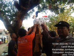 Diduga Depresi Karena Asmara Seorang Gantung Diri Di Pohon Mangga