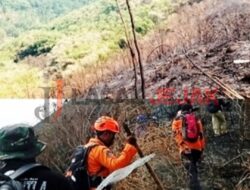 Dinsos Bersama Tim Gabungan Berhasil Padamkan Kebakaran Hutan Di Wonosalam