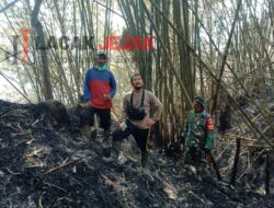 Tim Gabungan Berhasil Padamkan Kebakaran Hutan di Gunung Anjasmoro Wonosalam, Jombang