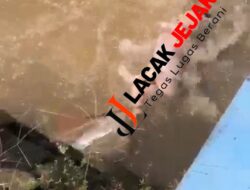 Diduga Kuat, Mayat Bayi Yang Ditemukan Dibuang Orang Tuanya Setelah Dilahirkan.