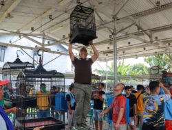 Ratusan Kicaumania, Perebutkan Piala Kapolres Jombang di Hari Bhayangkara Ke-78