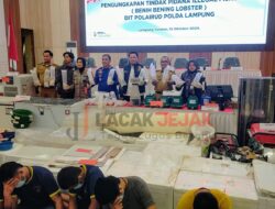 KKP Apresiasi Polda Lampung Ungkap Penyelundupan Baby Lobster
