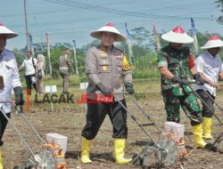 Dukung Program Asta Cita Presiden RI, Kapolda Jatim dan Pj.Gubernur Tanam Jagung Serentak 1 Juta Hektar di Blitar