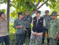 Pj Bupati Jombang Bersama Perhutani Kolaborasi Untuk Mendukung Program Ketahanan Pangan Dan Kembalikan Fungsi Hutan 