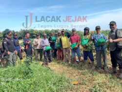 Perhutani KPH Jombang Melalui Asper Jabung Tarmidi Berikan Bingkisan Hari Raya Pada Pekerja Tebang