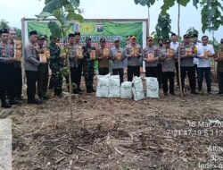 Perhutani Jombang Bersama Polri Beri Bibit Jagung Pada Petani Sebanyak 4 Kwintal di Musim Penghujan Masa Tanam Kedua