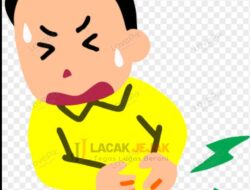 Diduga Mengkonsumsi Makanan Menu Program MBG Tidak Layak Saji Beberapa Murid Alami Sakit Perut