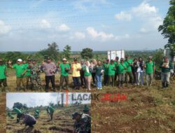 BKPH Gedangan KPH Jombang Lakukan Giat Tanam Bersama Babinsa dan Babinkamtibmas Desa Japanan Di Petak 11C/1