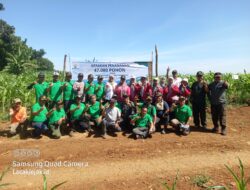 Perhutani KPH Jombang Tanam 47 Ribu Pohon Di Hutan Lebak Jabung Bersama Muspika Wonosalam Dan Masyarakat 