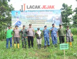 KPH Jombang Bersama TNI/ Satrad 405, Tanam Ribuan Jati Bentuk Sinergitas Dan Tanggung Jawab Kelestarian Hutan