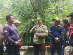 Forkopimcam Wonosalam, Pengelola Hutan Dan HIPPAM Tinjau Lokasi Hutan Pastikan Sumber Mata Air Lancar