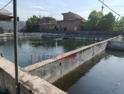 Dengan Konsep Padat Karya Dari Lahan Terbengkalai Untuk Menghidupkan Ekonomi Masyarakat 