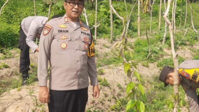 Manfaatkan Lahan Produktif, Kapolsek Kudu Tinjau Progres Pertumbuhan Tanaman Uwi Ungu