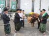 Peringati Hari Raya Idul Adha Bupati Jombang Warsubi Ajak Masyarakat Tundukkan Ego Dan Tingkatkan Peduli Sosial