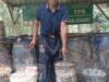 Siapa Yang Telaten Pasti Panen Ungkap Efendi Pemuda Penyadap Getah Pinus di RPH Carangwulung