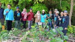 Perhutani KPH Jombang Perkuat Kolaborasi Melalui Aksi Pelestarian Sumber Mata Air di Wilayah Hutan KPS
