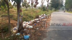Banyaknya Sampah Numpuk Di Pinggir Jalan dan Aliran Sungai Desa Ngrimbi Begini Tanggapan Kepala Desa dan DLH Jombang