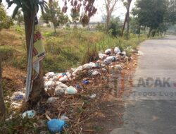 Banyaknya Sampah Numpuk Di Pinggir Jalan dan Aliran Sungai Desa Ngrimbi Begini Tanggapan Kepala Desa dan DLH Jombang