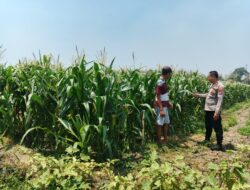 Polsek Ngusikan Berkolaborasi dengan Petani Wujudkan Ketahanan Pangan